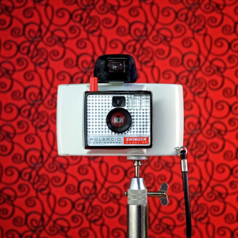 Swinger Kamera CameraSelfies Jürgen Novotny Tapete Bunt Stativ