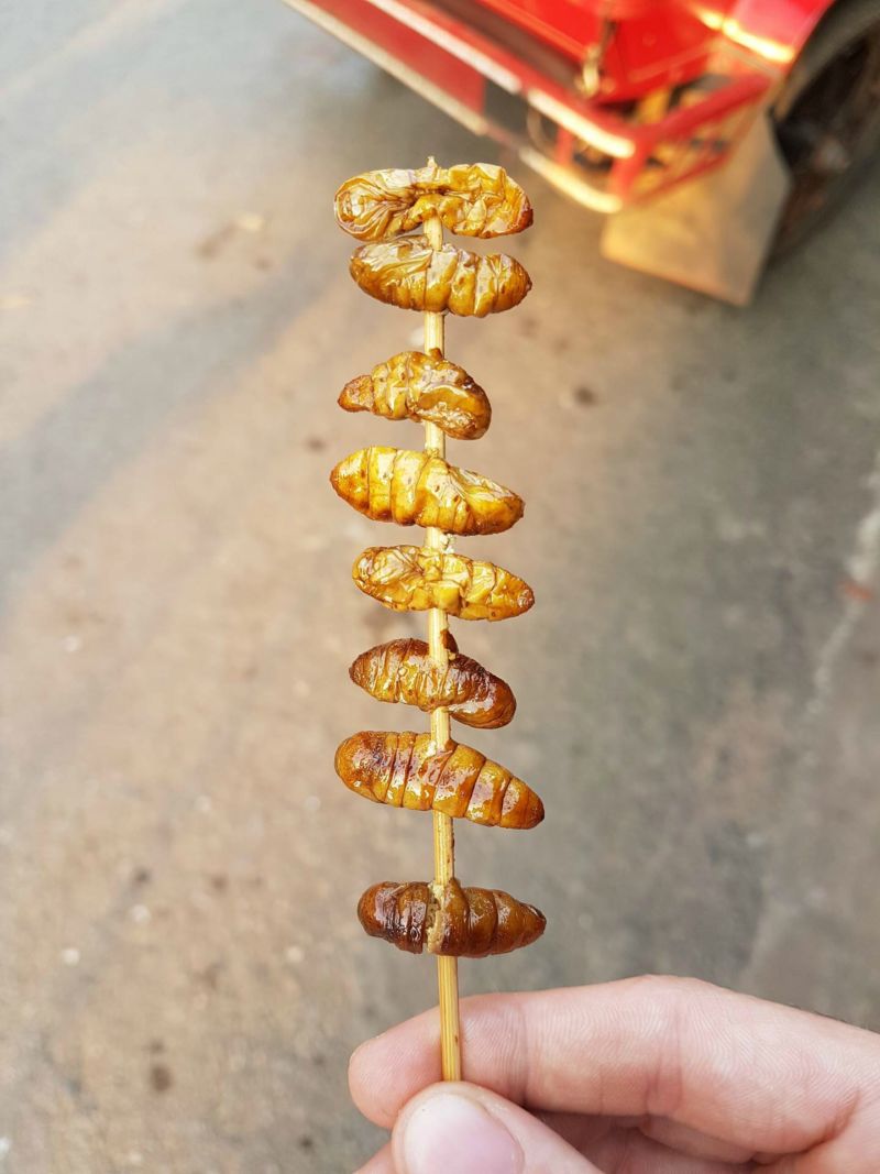 Insekten Asien Essen Reise Ernährung Protein Maden Käfer Spinnen Heuschrecken