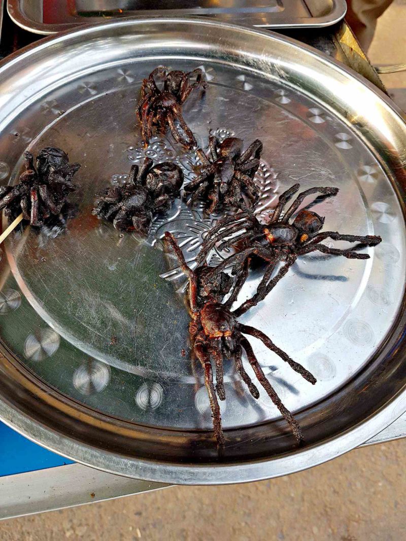 Insekten Asien Essen Reise Ernährung Protein Maden Käfer Spinnen Heuschrecken