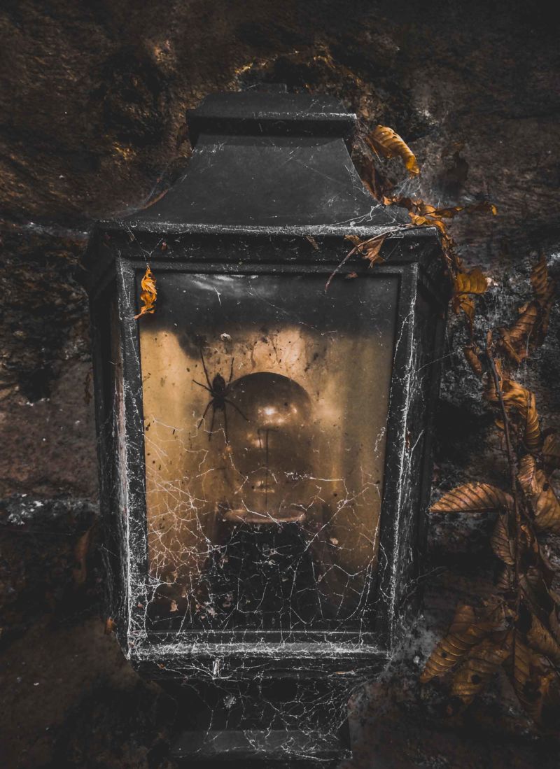 Laterne Spinne Spinnweben alt