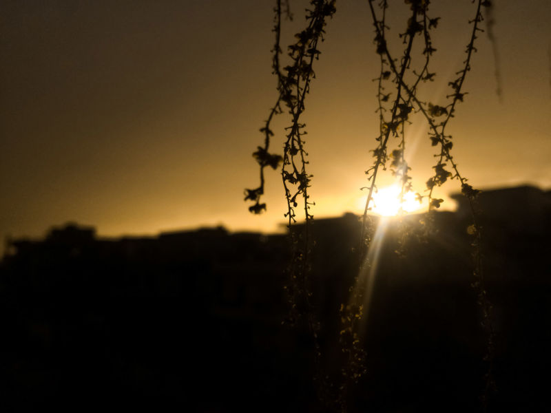 Sonnenuntergang Sonnenstrahlen Äste