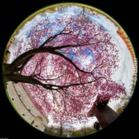 Johannes Hauser Bilder Fotografie Fischauge Europa nach oben künstler die wir lieben