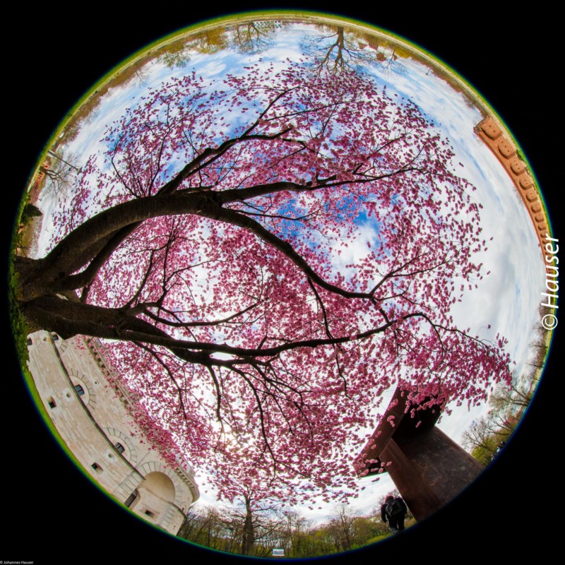 Johannes Hauser Bilder Fotografie Fischauge Europa nach oben künstler die wir lieben