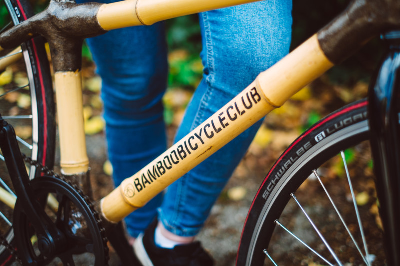 Bamboo bicycle Club logo