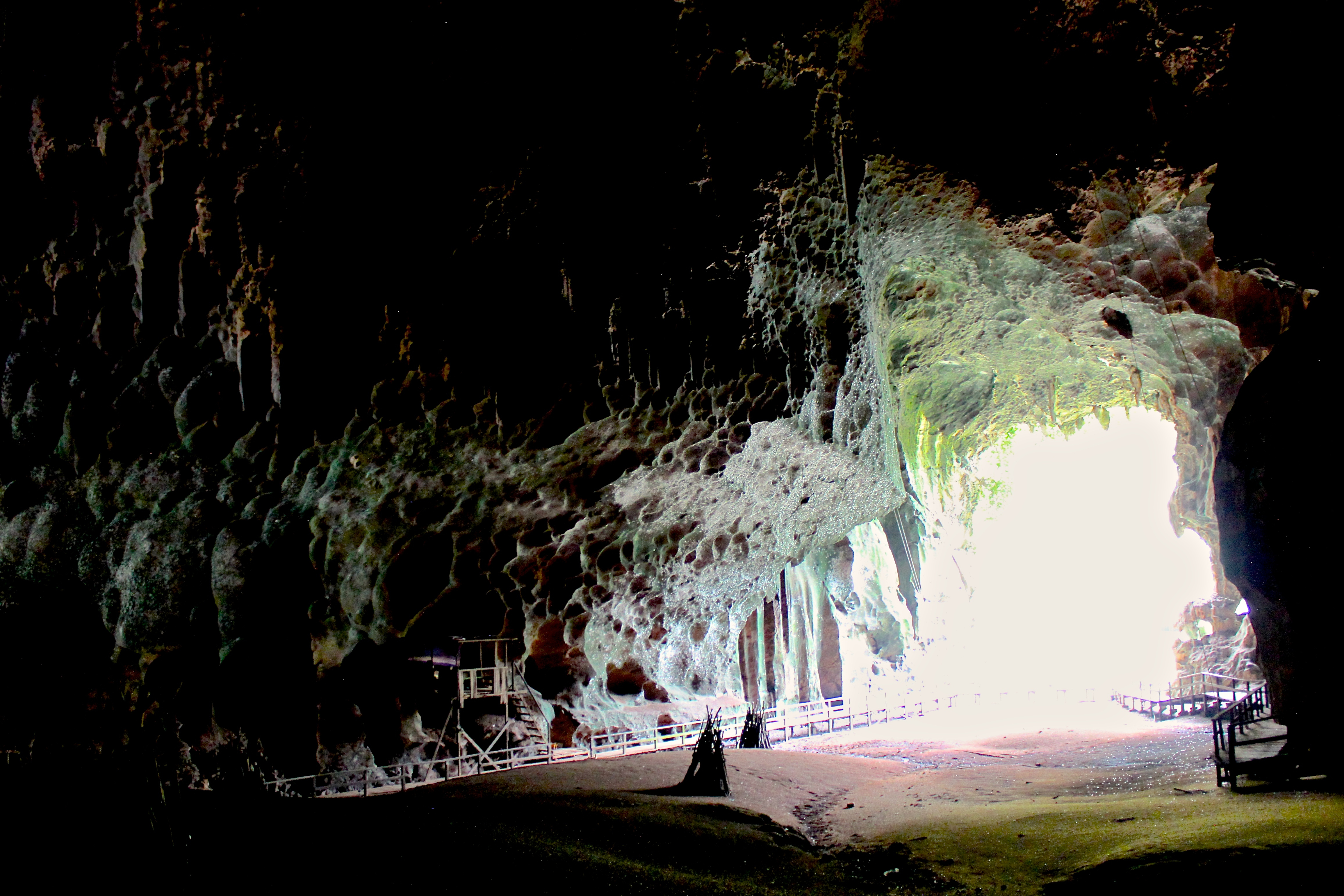 Mythos-Mysterium-Orte-Gomantong-Höhle