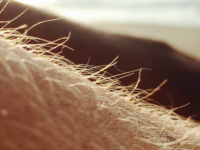 Körperbehaarung Ekel Gründe Evolution Gesellschaft