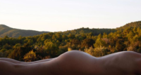 landschaft polly