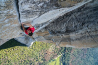Free Solo Honnold