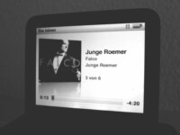 Falco Junge Roemer