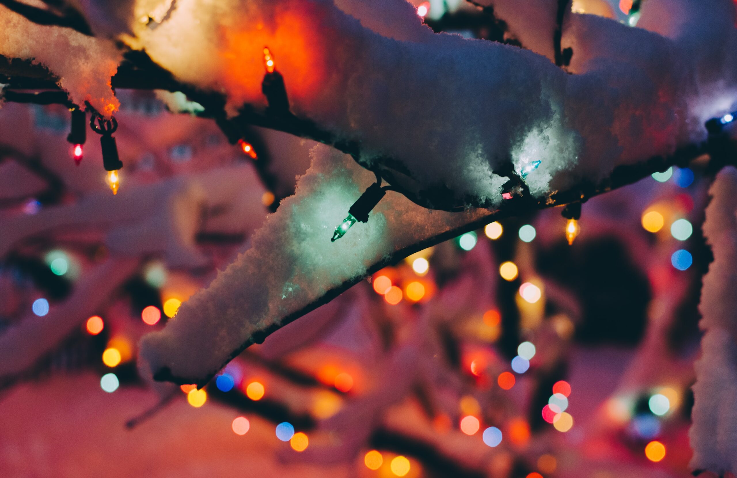 Bunte Lichter und Zweig mit Schnee