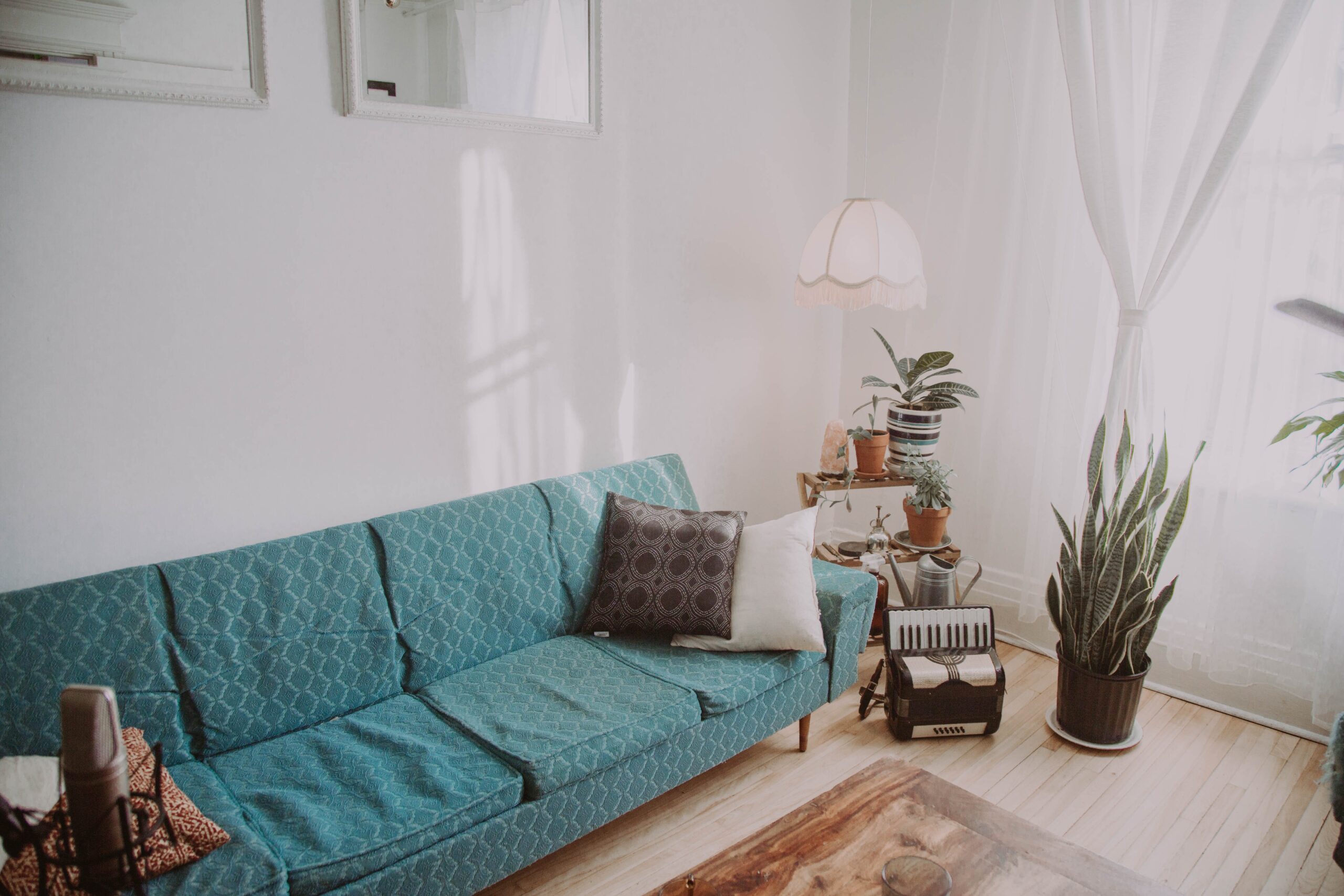 Helle Wohnung mit türkisem Sofa und Pflanze