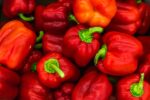 Rote Paprika