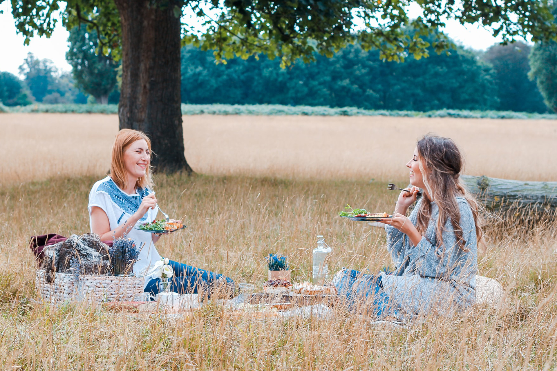 Zwei Frauen machen Picknick im Park: Bild: Unsplash