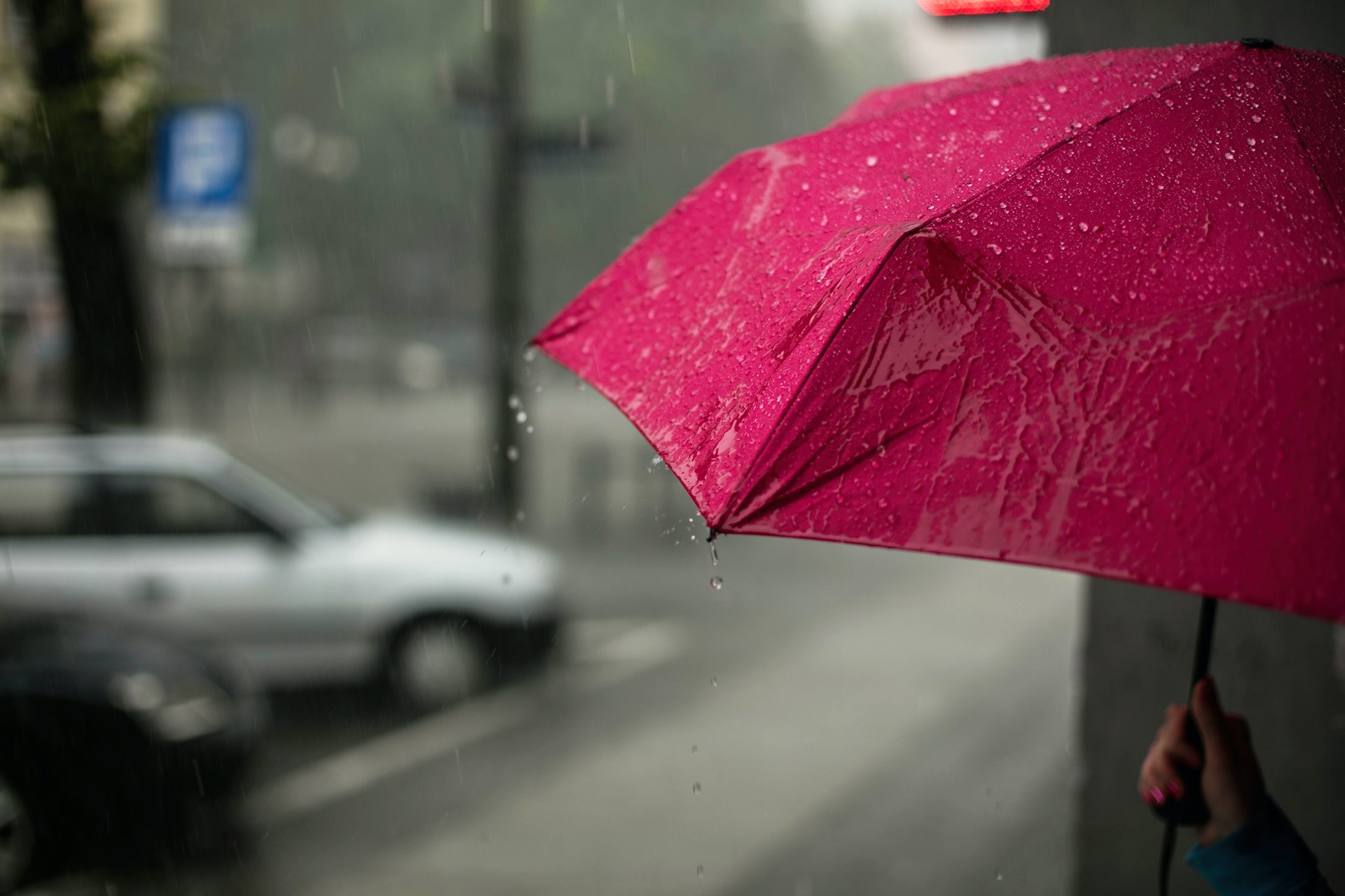 Jemand hat einen pinken Regenschirm in der Hand, um sich vor dem Regen zu schützen.