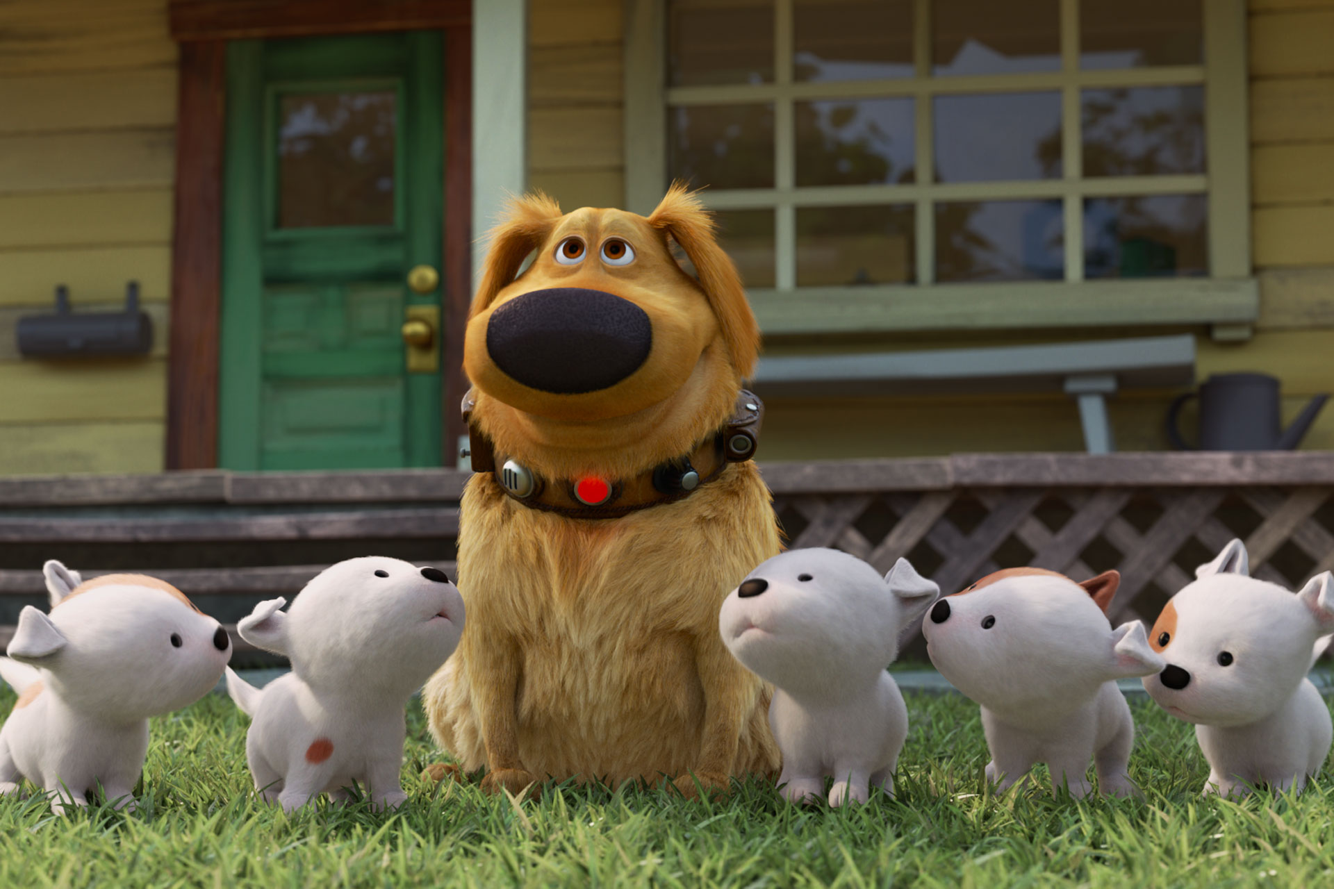 Dug führt ein echtes Hundeleben. Bild: Disney Pixar
