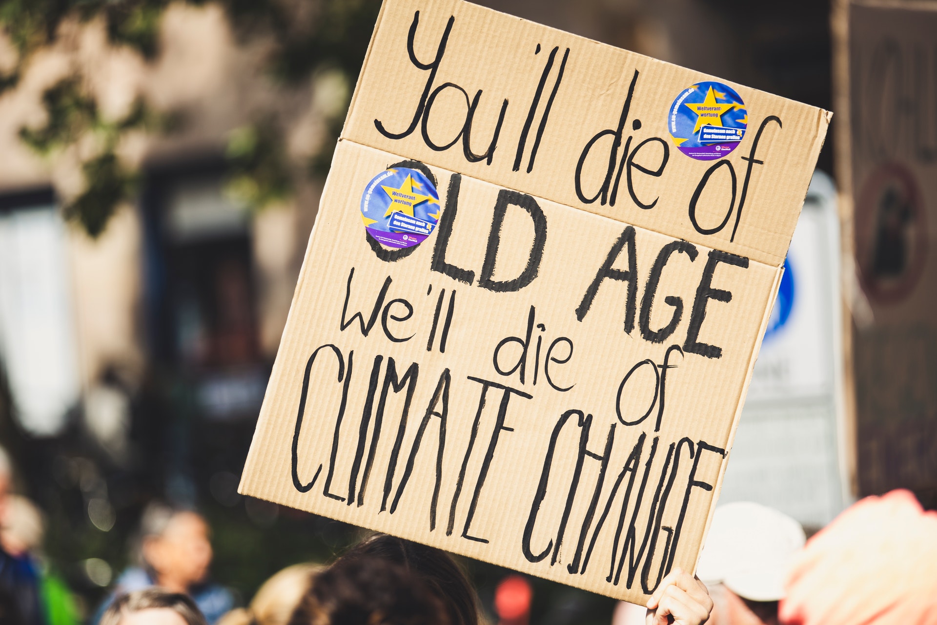 Plakat mit der Aufschrift: You'll die of old age, we'll die of climate change. Bild: Pexels