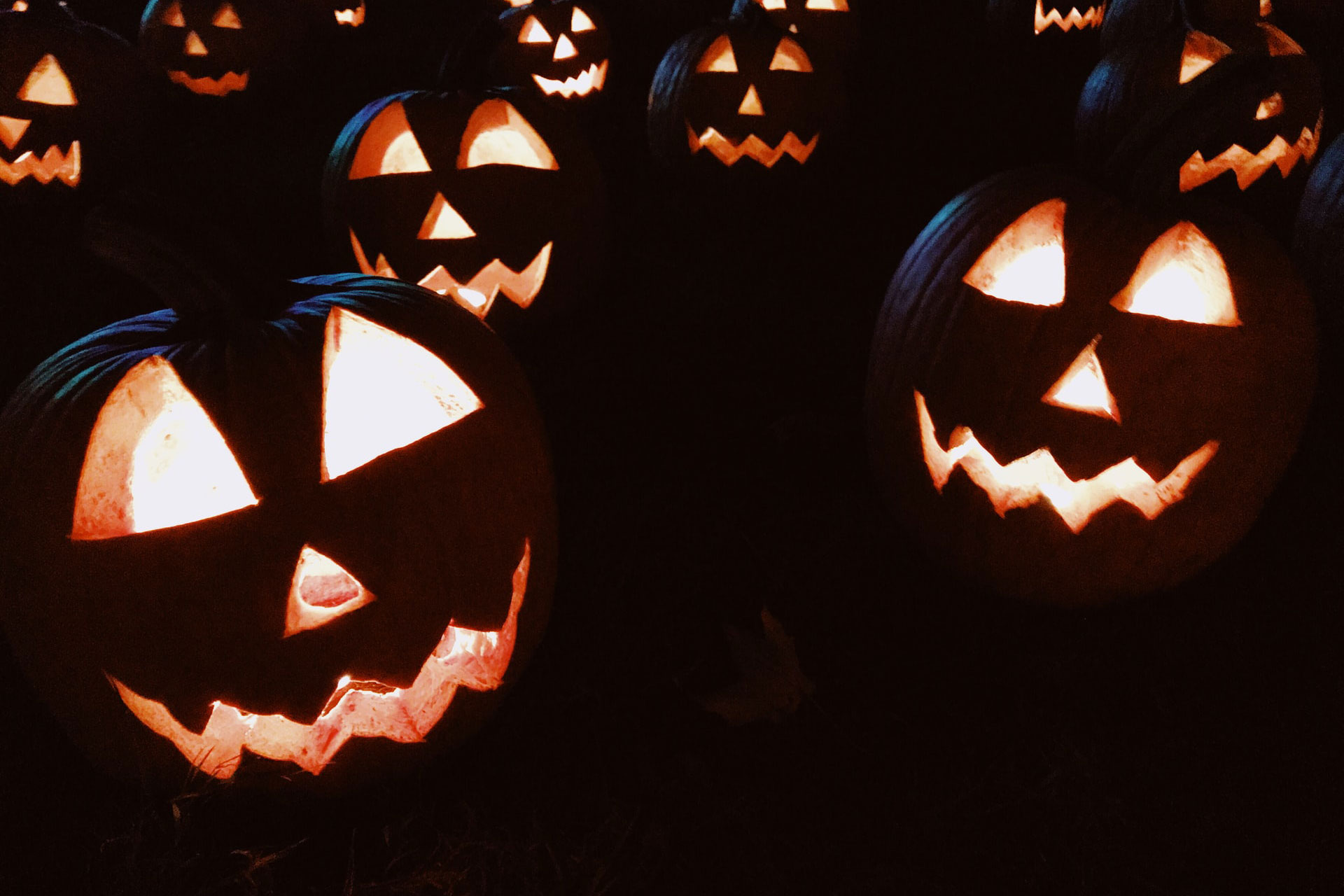 Unsere Netflix-Tipps sorgen garantiert für einen schaurig-schönen Halloween-Filmabend. Bild: Unsplash