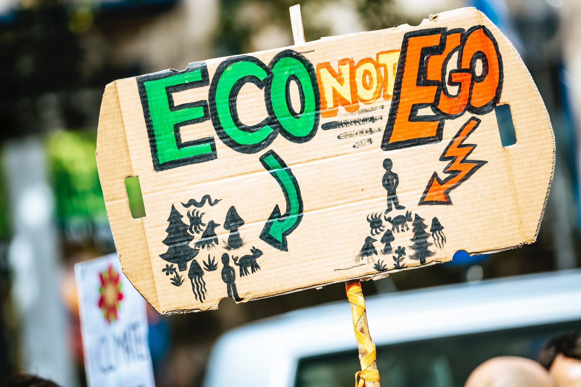 Demo-Plakat mit der Aufschrift "Eco, not ego"
