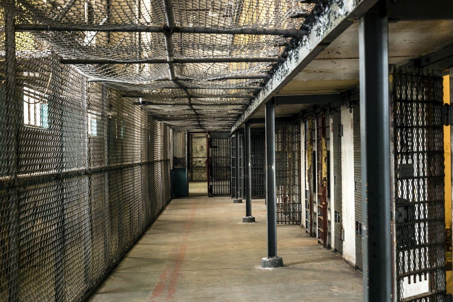 Donald Stellwag Archives ZEITjUNG