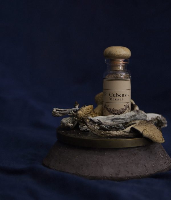 Drogen als Medikamente