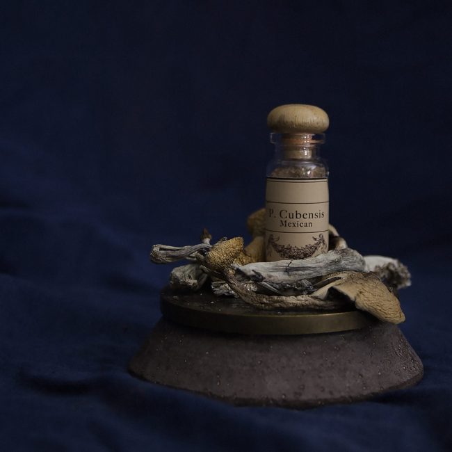 Drogen als Medikamente