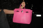 Eine pinke Birkin Bag