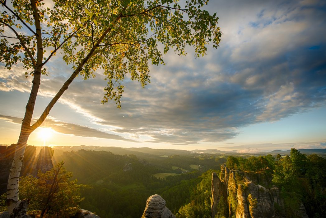 Die Sächsische Schweiz ist ein Paradies für Outdoor-Enthusiasten. Hier warten spektakuläre Felsformationen, tiefe Schluchten und abenteuerliche Kletterrouten. (Bild: ©Pexels)