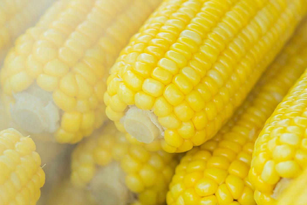 Solange Maisstärke trocken gelagert wird, kann sie sehr lange halten. (Bild: © Pexels) 