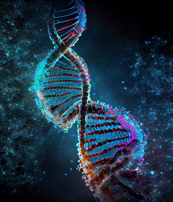Löst sich das Y-Chromosom langsam auf?