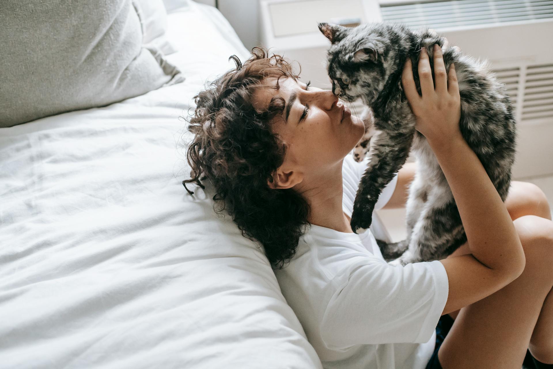 Katzen bringen alle ihre eigene Persönlichkeit mit, doch eines bleibt gleich: Sie sind ziemlich gut darin, uns glücklich zu machen. © Pexels